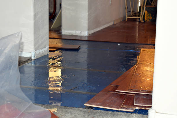 Professional Sewage Cleanup technician working in Hye, TX